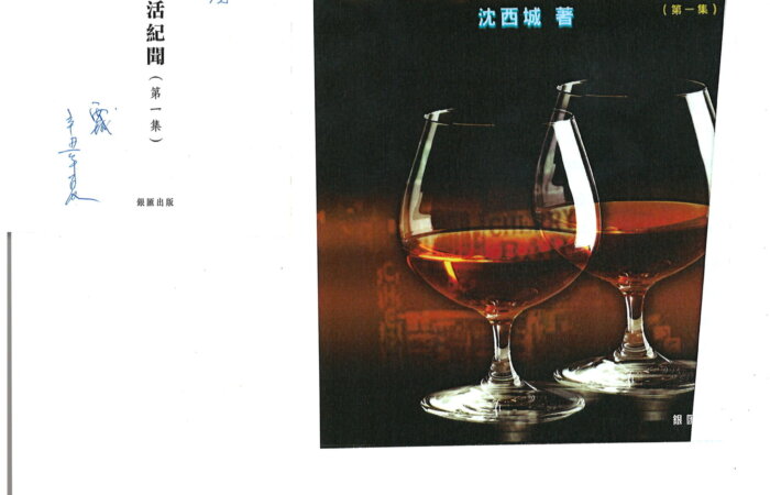 463 香港夜生活紀錄 – 沈西城
